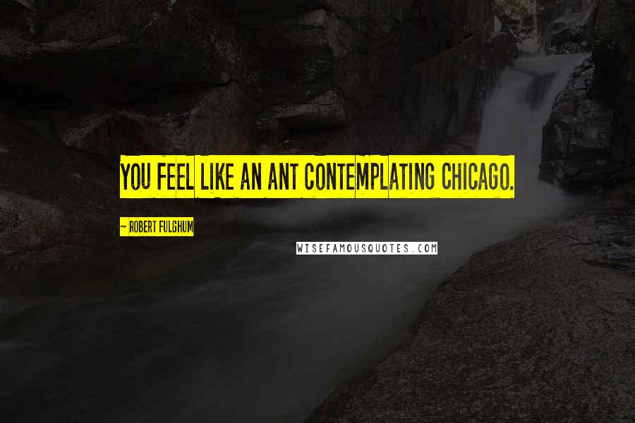 Robert Fulghum Quotes: You feel like an ant contemplating Chicago.