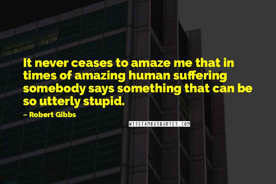 Robert Gibbs Quotes: It never ceases to amaze me that in times of amazing human suffering somebody says something that can be so utterly stupid.