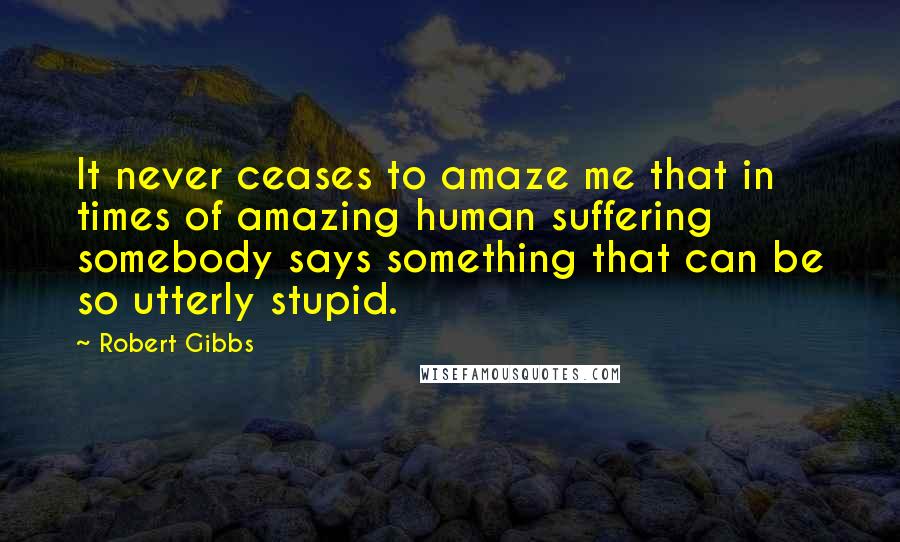 Robert Gibbs Quotes: It never ceases to amaze me that in times of amazing human suffering somebody says something that can be so utterly stupid.
