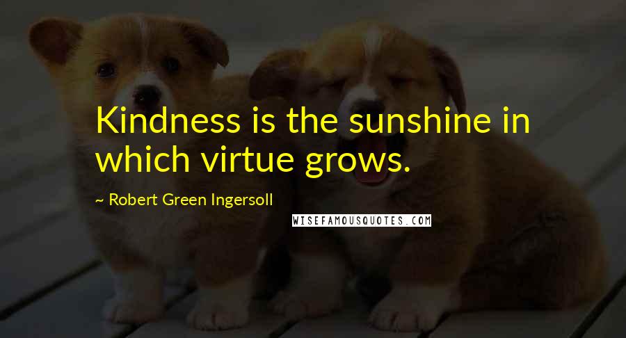 Robert Green Ingersoll Quotes: Kindness is the sunshine in which virtue grows.