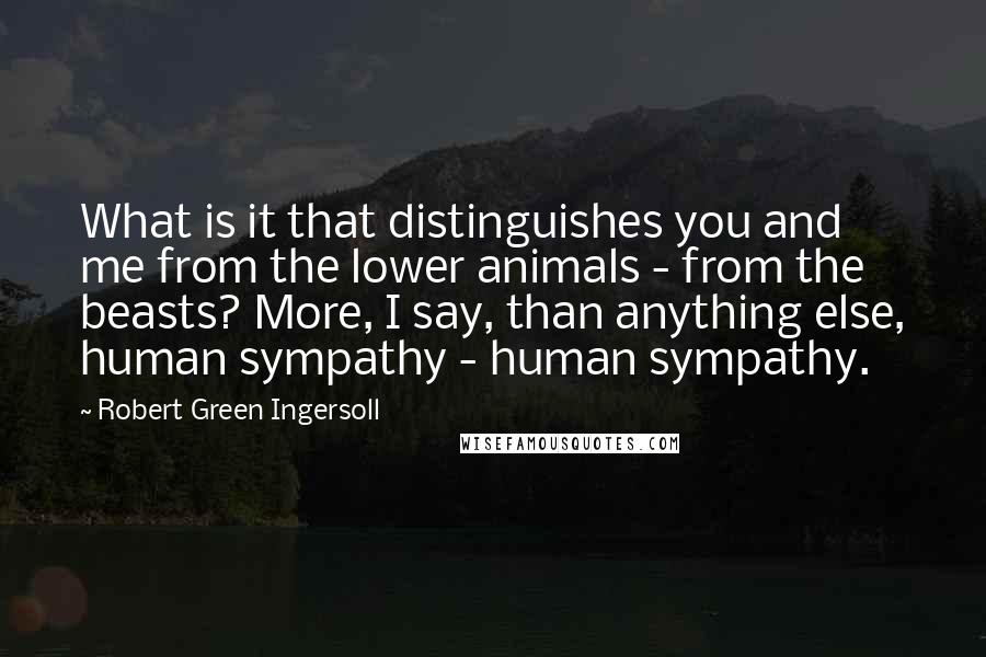 Robert Green Ingersoll Quotes: What is it that distinguishes you and me from the lower animals - from the beasts? More, I say, than anything else, human sympathy - human sympathy.