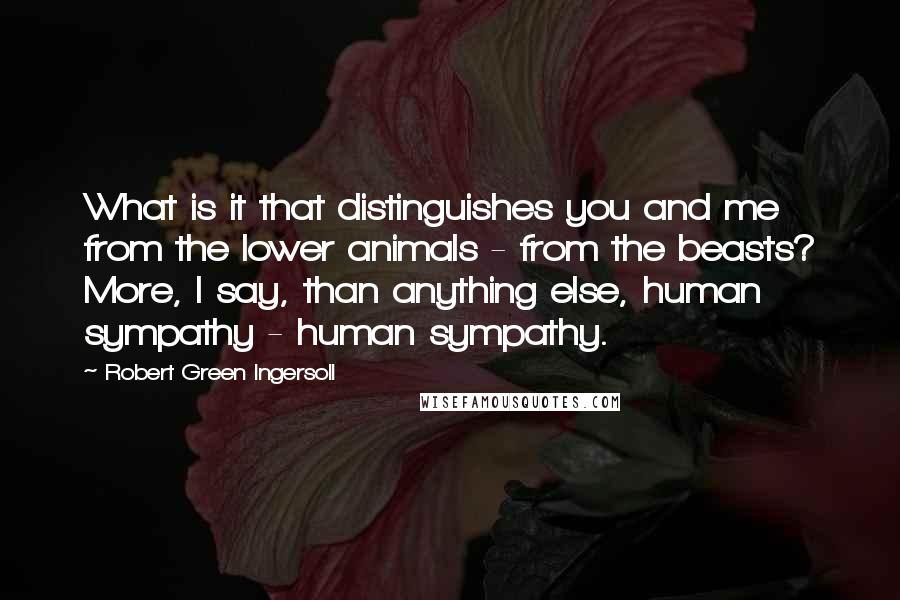 Robert Green Ingersoll Quotes: What is it that distinguishes you and me from the lower animals - from the beasts? More, I say, than anything else, human sympathy - human sympathy.