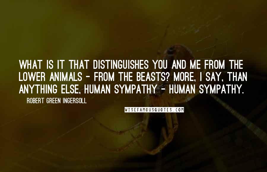 Robert Green Ingersoll Quotes: What is it that distinguishes you and me from the lower animals - from the beasts? More, I say, than anything else, human sympathy - human sympathy.