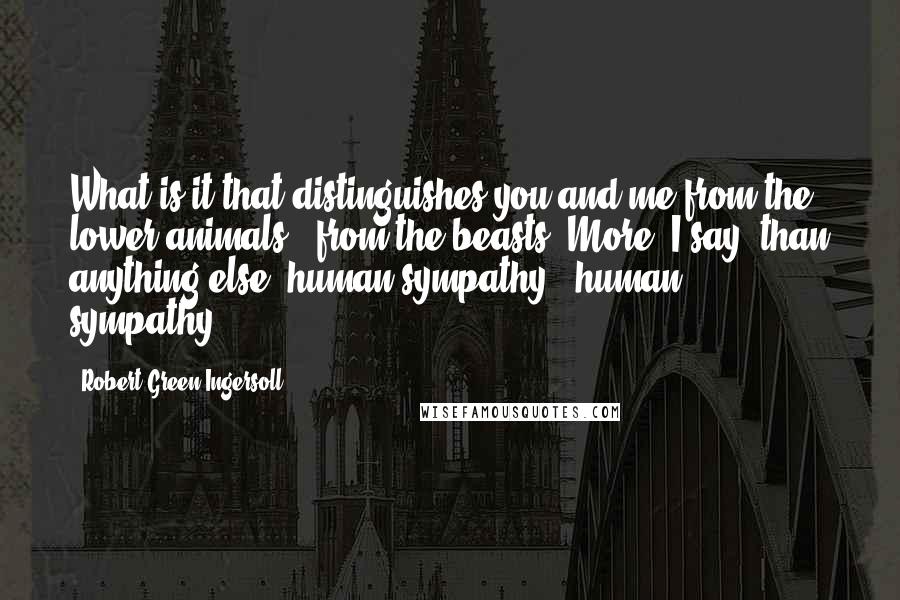 Robert Green Ingersoll Quotes: What is it that distinguishes you and me from the lower animals - from the beasts? More, I say, than anything else, human sympathy - human sympathy.