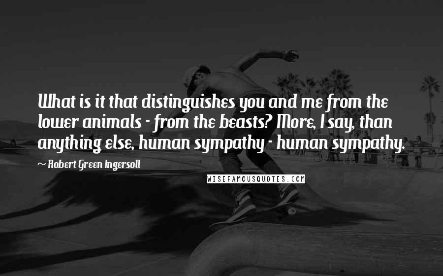 Robert Green Ingersoll Quotes: What is it that distinguishes you and me from the lower animals - from the beasts? More, I say, than anything else, human sympathy - human sympathy.