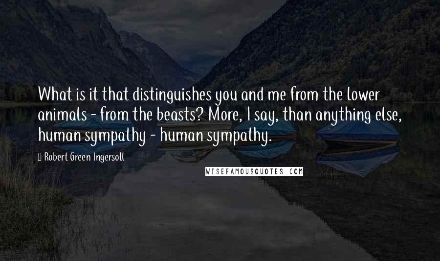 Robert Green Ingersoll Quotes: What is it that distinguishes you and me from the lower animals - from the beasts? More, I say, than anything else, human sympathy - human sympathy.