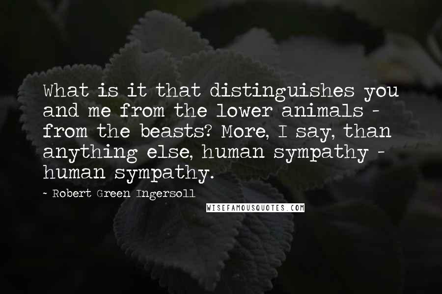 Robert Green Ingersoll Quotes: What is it that distinguishes you and me from the lower animals - from the beasts? More, I say, than anything else, human sympathy - human sympathy.