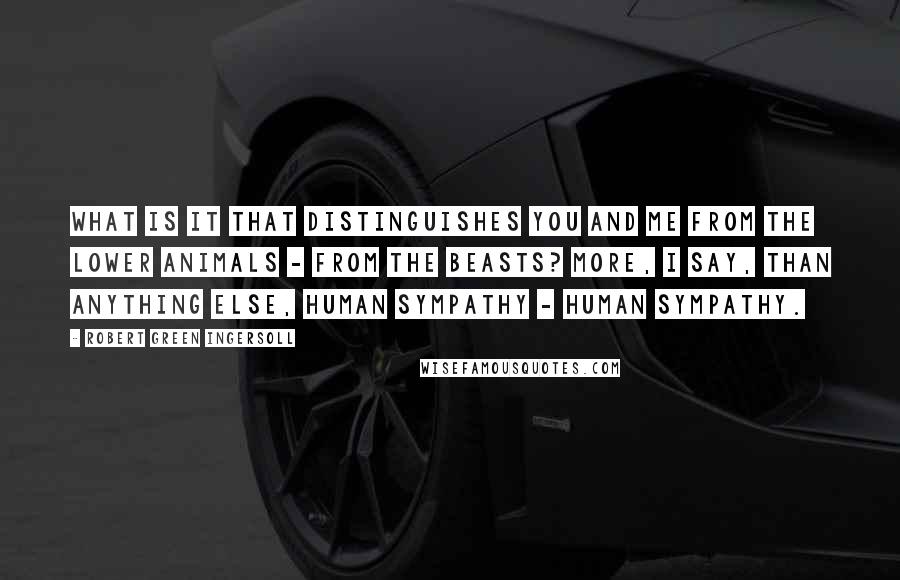 Robert Green Ingersoll Quotes: What is it that distinguishes you and me from the lower animals - from the beasts? More, I say, than anything else, human sympathy - human sympathy.