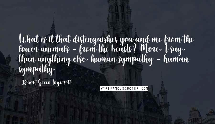 Robert Green Ingersoll Quotes: What is it that distinguishes you and me from the lower animals - from the beasts? More, I say, than anything else, human sympathy - human sympathy.