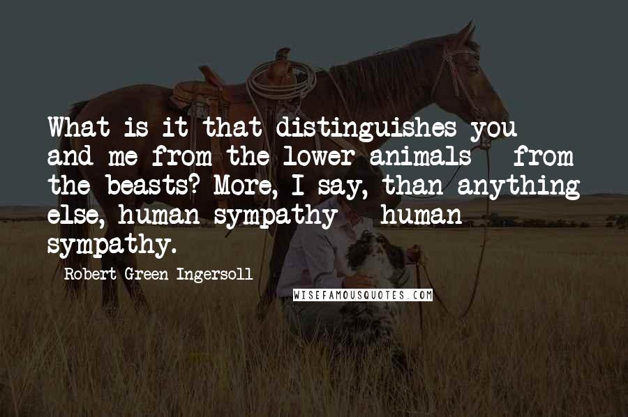 Robert Green Ingersoll Quotes: What is it that distinguishes you and me from the lower animals - from the beasts? More, I say, than anything else, human sympathy - human sympathy.