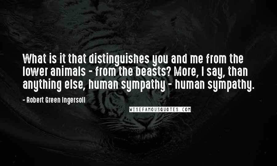 Robert Green Ingersoll Quotes: What is it that distinguishes you and me from the lower animals - from the beasts? More, I say, than anything else, human sympathy - human sympathy.