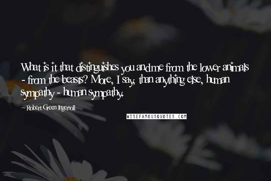 Robert Green Ingersoll Quotes: What is it that distinguishes you and me from the lower animals - from the beasts? More, I say, than anything else, human sympathy - human sympathy.