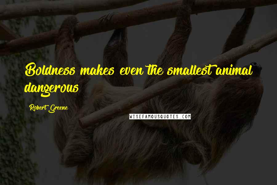 Robert Greene Quotes: Boldness makes even the smallest animal dangerous