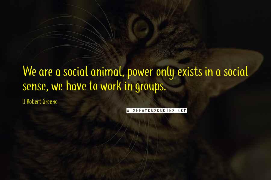 Robert Greene Quotes: We are a social animal, power only exists in a social sense, we have to work in groups.