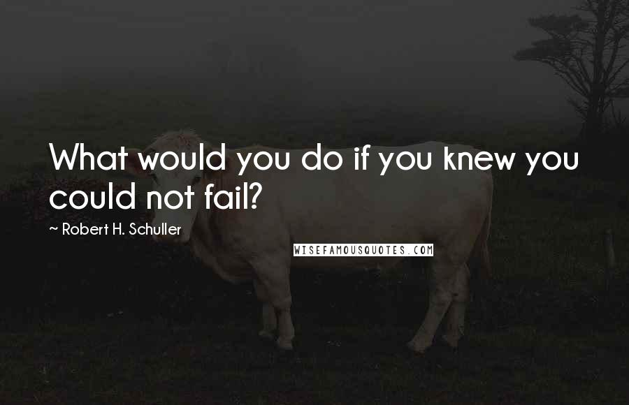 Robert H. Schuller Quotes: What would you do if you knew you could not fail?