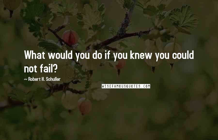 Robert H. Schuller Quotes: What would you do if you knew you could not fail?