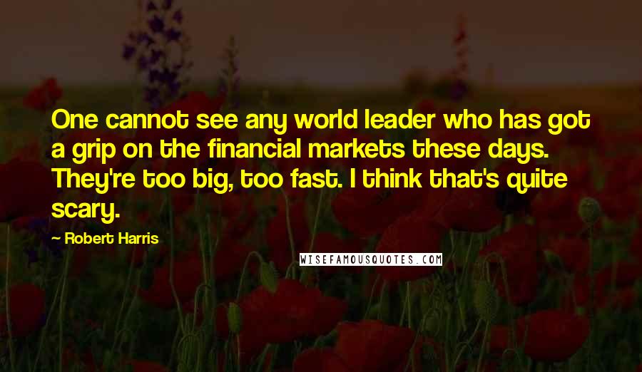 Robert Harris Quotes: One cannot see any world leader who has got a grip on the financial markets these days. They're too big, too fast. I think that's quite scary.