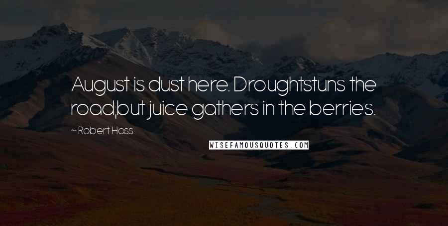 Robert Hass Quotes: August is dust here. Droughtstuns the road,but juice gathers in the berries.