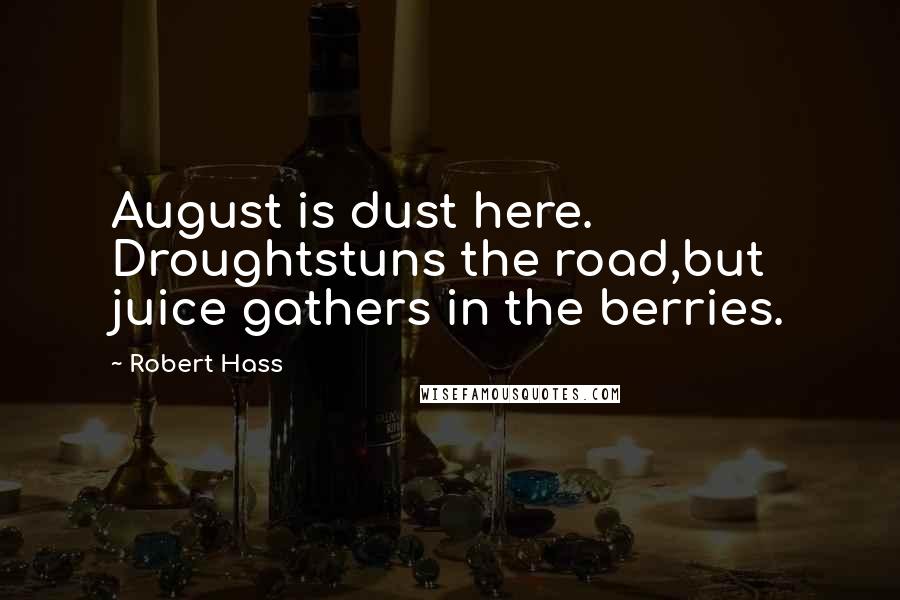 Robert Hass Quotes: August is dust here. Droughtstuns the road,but juice gathers in the berries.