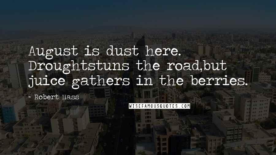 Robert Hass Quotes: August is dust here. Droughtstuns the road,but juice gathers in the berries.