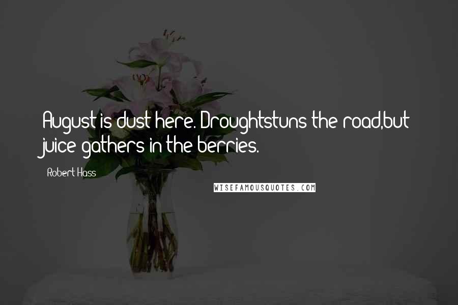 Robert Hass Quotes: August is dust here. Droughtstuns the road,but juice gathers in the berries.