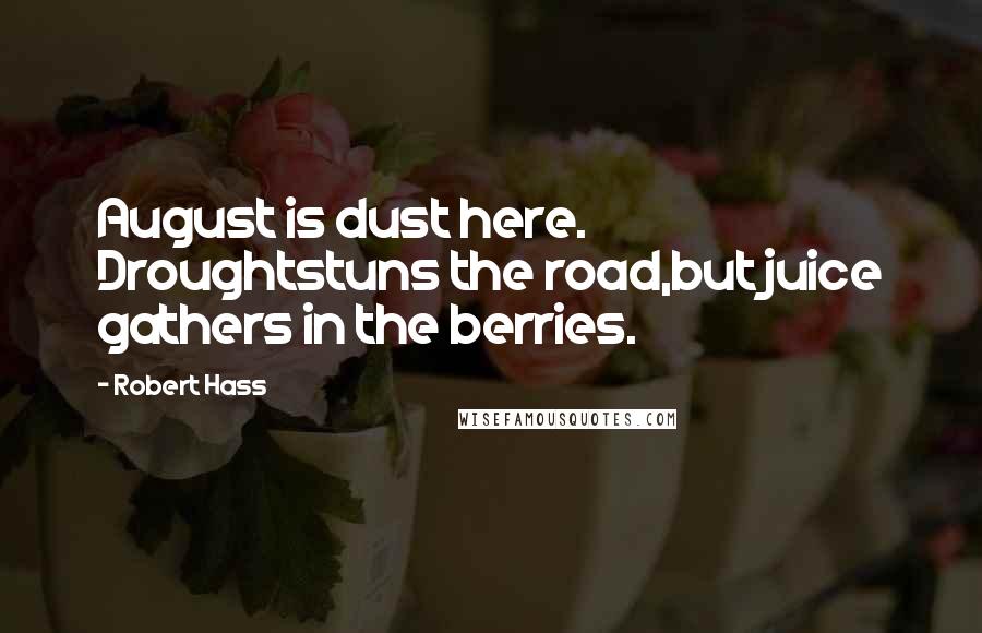 Robert Hass Quotes: August is dust here. Droughtstuns the road,but juice gathers in the berries.