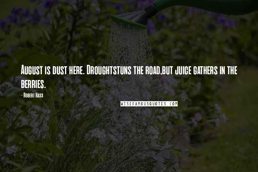 Robert Hass Quotes: August is dust here. Droughtstuns the road,but juice gathers in the berries.