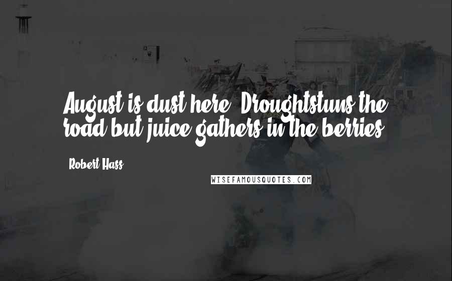 Robert Hass Quotes: August is dust here. Droughtstuns the road,but juice gathers in the berries.