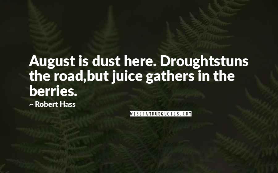 Robert Hass Quotes: August is dust here. Droughtstuns the road,but juice gathers in the berries.