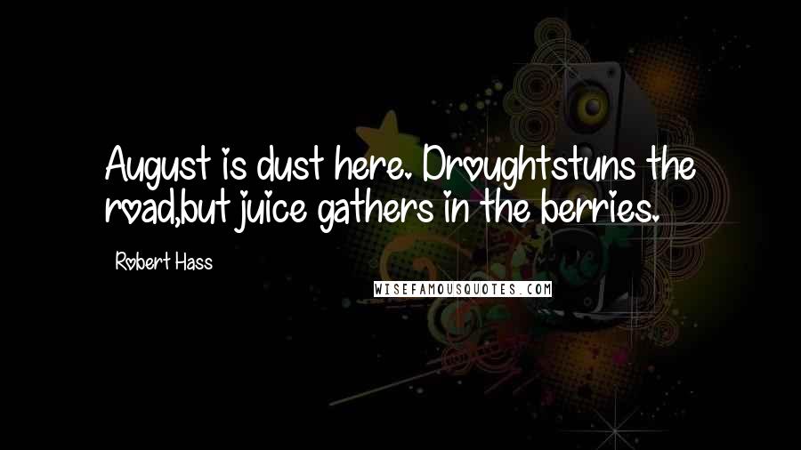 Robert Hass Quotes: August is dust here. Droughtstuns the road,but juice gathers in the berries.