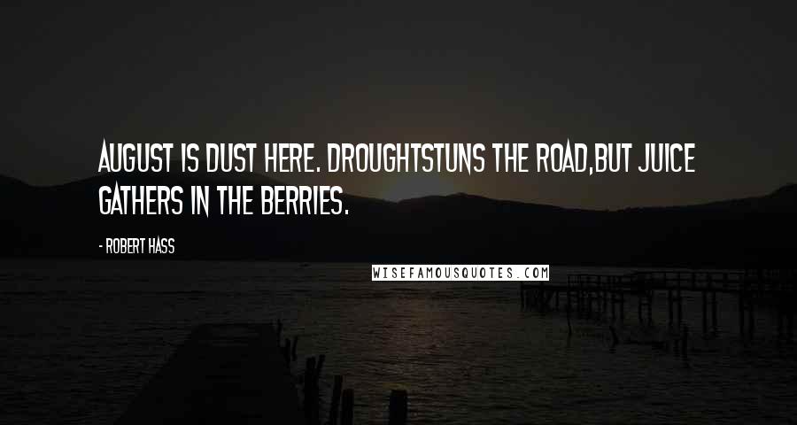 Robert Hass Quotes: August is dust here. Droughtstuns the road,but juice gathers in the berries.