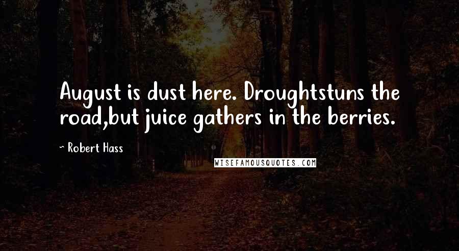 Robert Hass Quotes: August is dust here. Droughtstuns the road,but juice gathers in the berries.