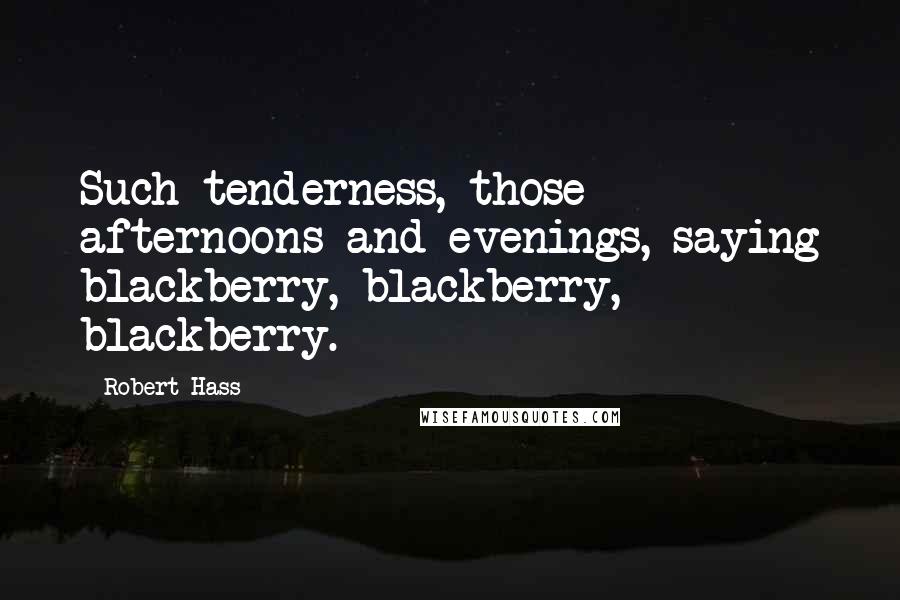 Robert Hass Quotes: Such tenderness, those afternoons and evenings, saying blackberry, blackberry, blackberry.