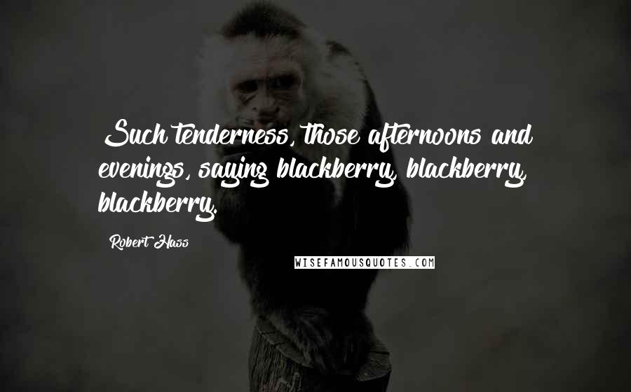 Robert Hass Quotes: Such tenderness, those afternoons and evenings, saying blackberry, blackberry, blackberry.