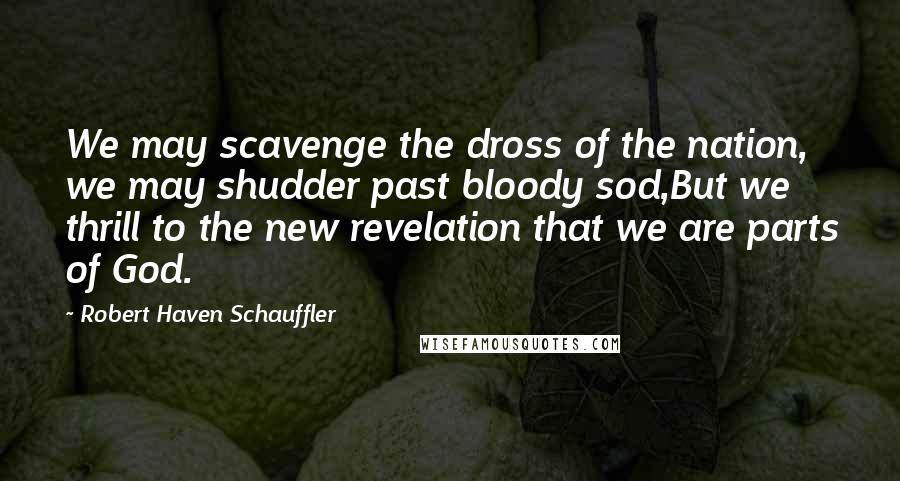 Robert Haven Schauffler Quotes: We may scavenge the dross of the nation, we may shudder past bloody sod,But we thrill to the new revelation that we are parts of God.