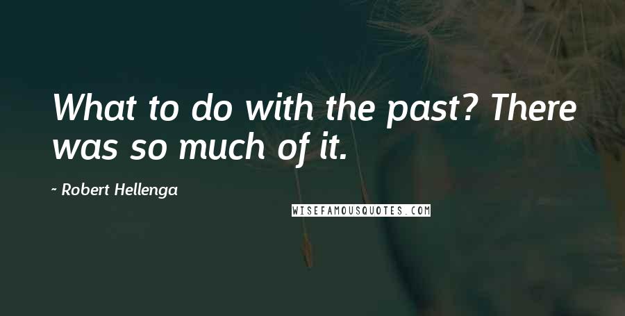 Robert Hellenga Quotes: What to do with the past? There was so much of it.