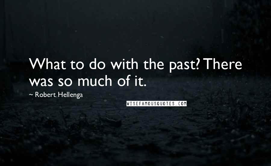 Robert Hellenga Quotes: What to do with the past? There was so much of it.