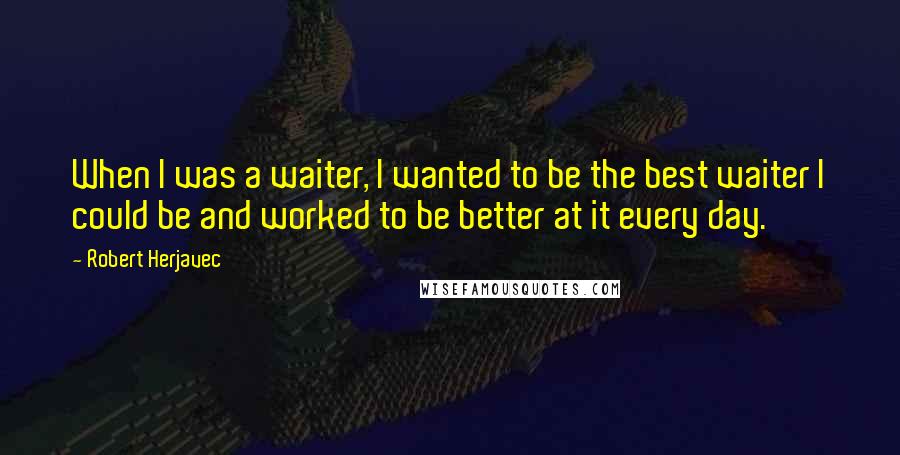 Robert Herjavec Quotes: When I was a waiter, I wanted to be the best waiter I could be and worked to be better at it every day.