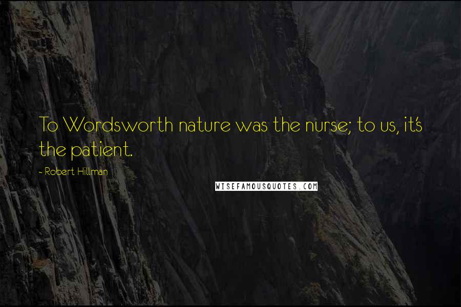 Robert Hillman Quotes: To Wordsworth nature was the nurse; to us, it's the patient.