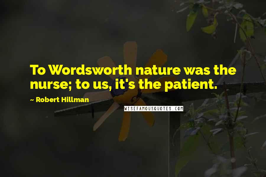 Robert Hillman Quotes: To Wordsworth nature was the nurse; to us, it's the patient.