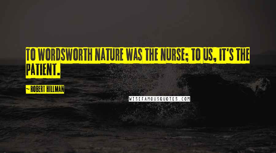 Robert Hillman Quotes: To Wordsworth nature was the nurse; to us, it's the patient.