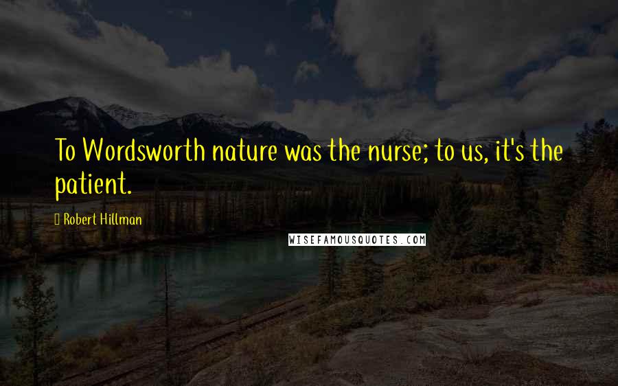 Robert Hillman Quotes: To Wordsworth nature was the nurse; to us, it's the patient.