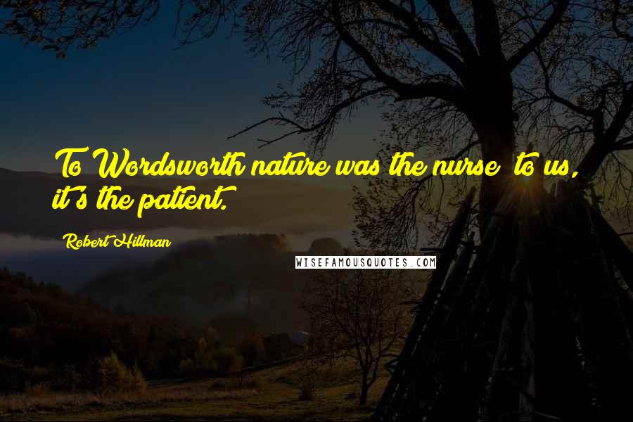 Robert Hillman Quotes: To Wordsworth nature was the nurse; to us, it's the patient.