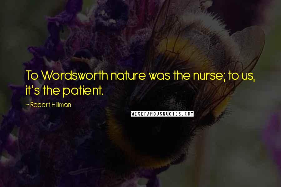 Robert Hillman Quotes: To Wordsworth nature was the nurse; to us, it's the patient.