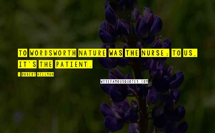 Robert Hillman Quotes: To Wordsworth nature was the nurse; to us, it's the patient.