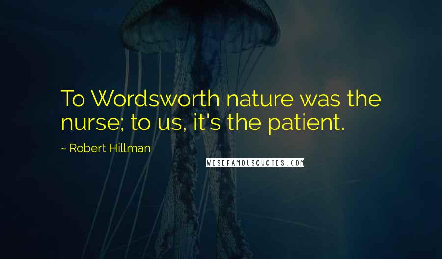 Robert Hillman Quotes: To Wordsworth nature was the nurse; to us, it's the patient.