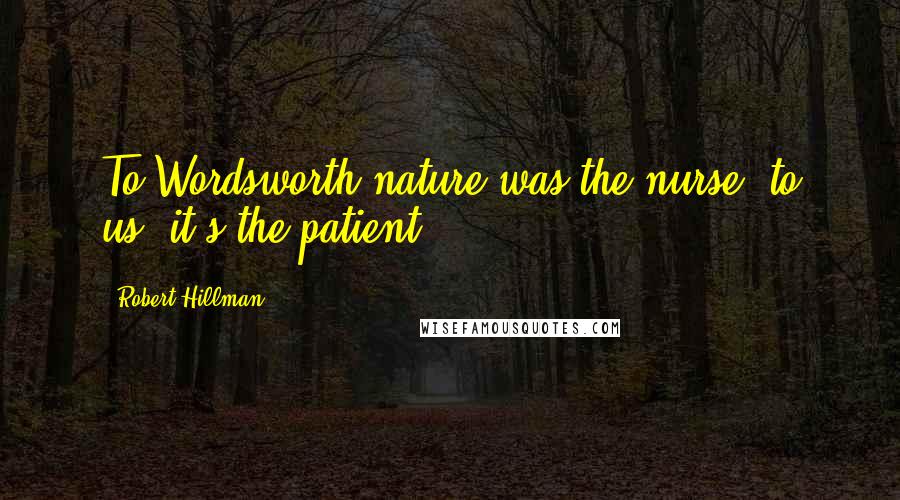 Robert Hillman Quotes: To Wordsworth nature was the nurse; to us, it's the patient.