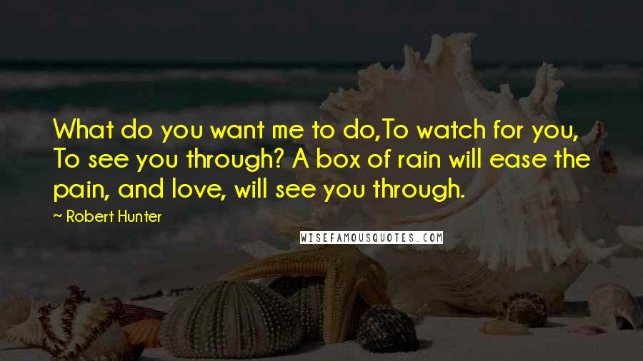 Robert Hunter Quotes: What do you want me to do,To watch for you, To see you through? A box of rain will ease the pain, and love, will see you through.