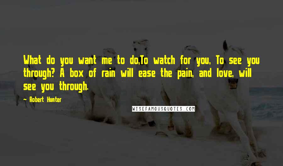 Robert Hunter Quotes: What do you want me to do,To watch for you, To see you through? A box of rain will ease the pain, and love, will see you through.