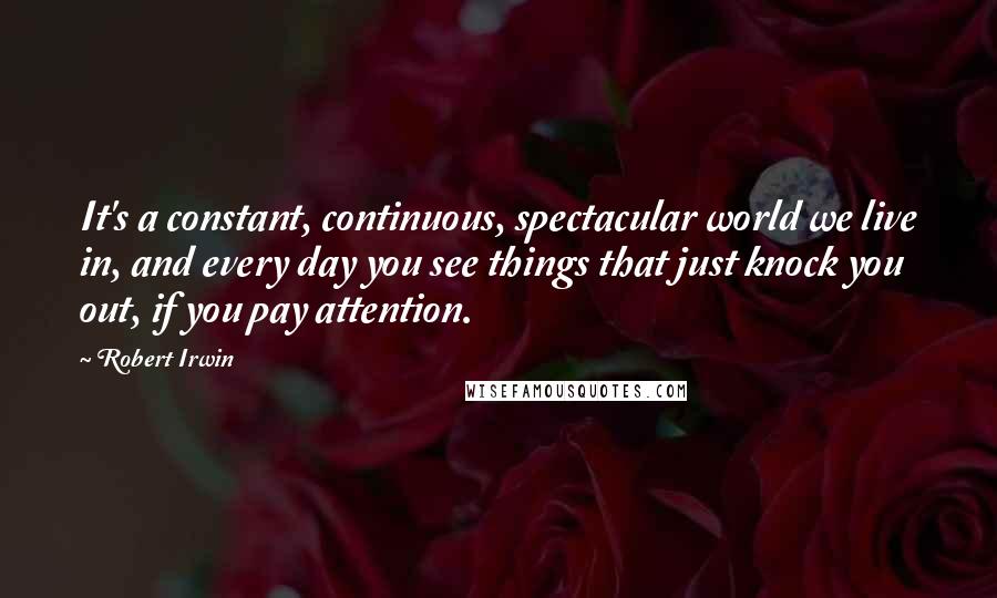 Robert Irwin Quotes: It's a constant, continuous, spectacular world we live in, and every day you see things that just knock you out, if you pay attention.